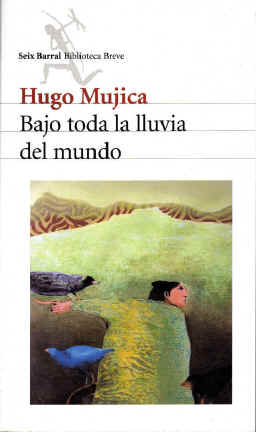 Bajo toda la lluvia del mundo de Hugo Mujica