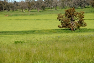 A los que desafían el escarmiento de la gula