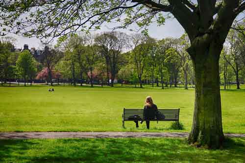 on_a_bench